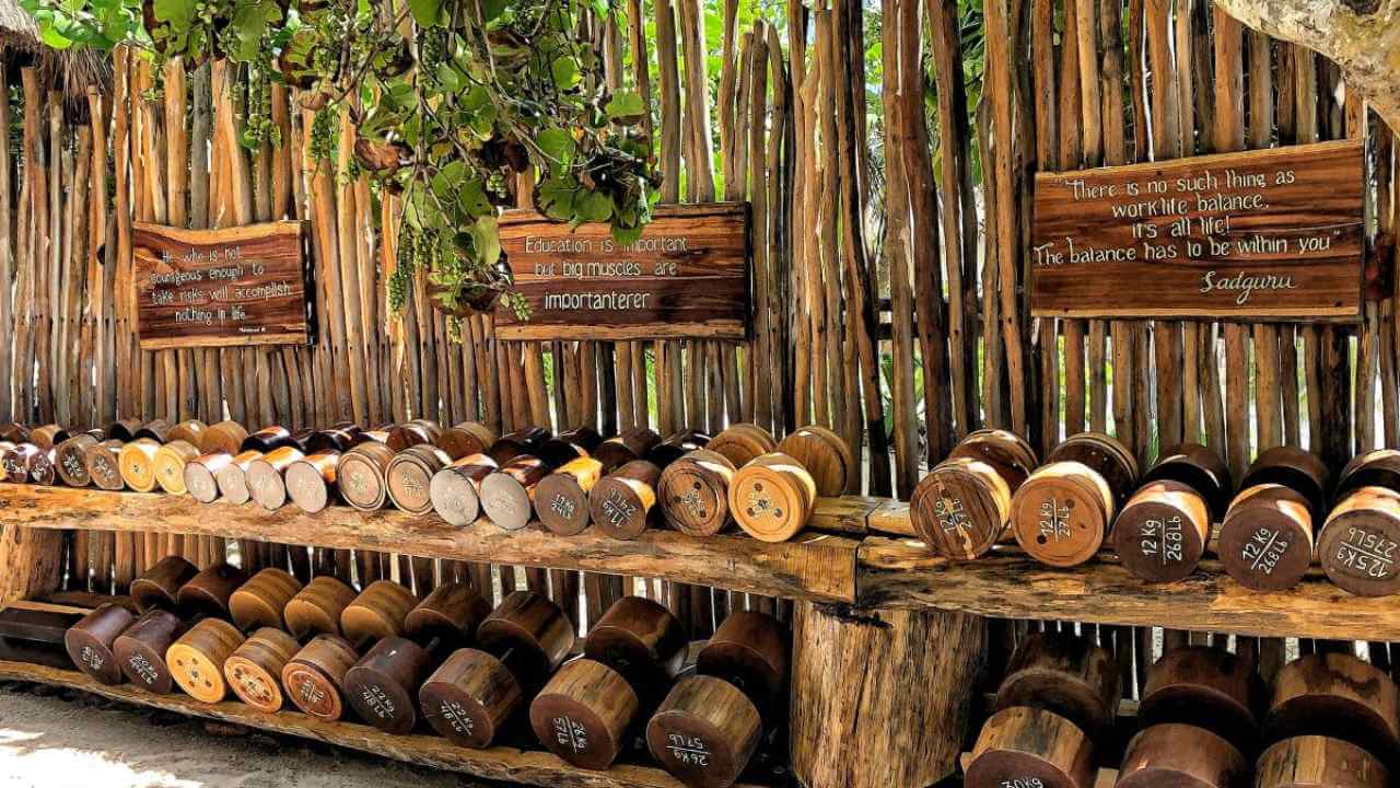 bamboo equipment at tulum jungle gym