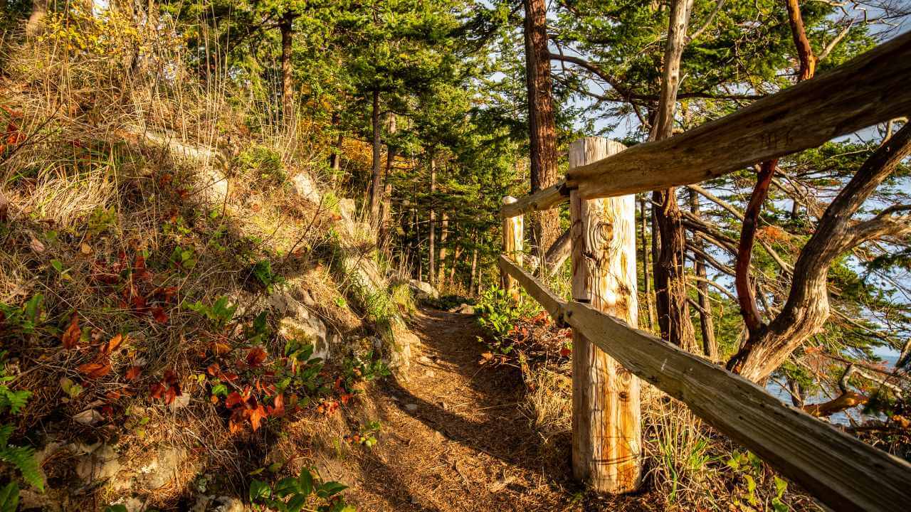wooden fence on the trail leading to the ocean