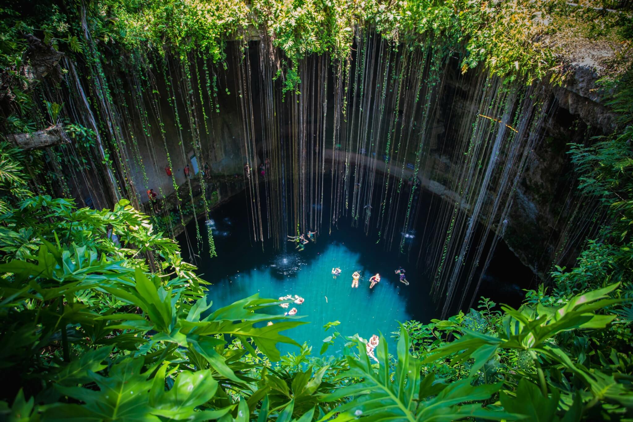 Travelers floating in a turquoise cenote surrounded by jungle vines and limestone walls in Tulum.
