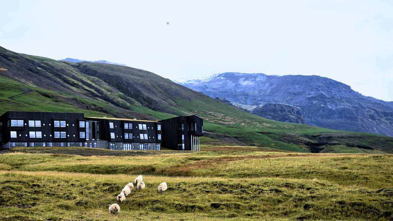 hotel in iceland placed on top of hills with sheep grazing in front