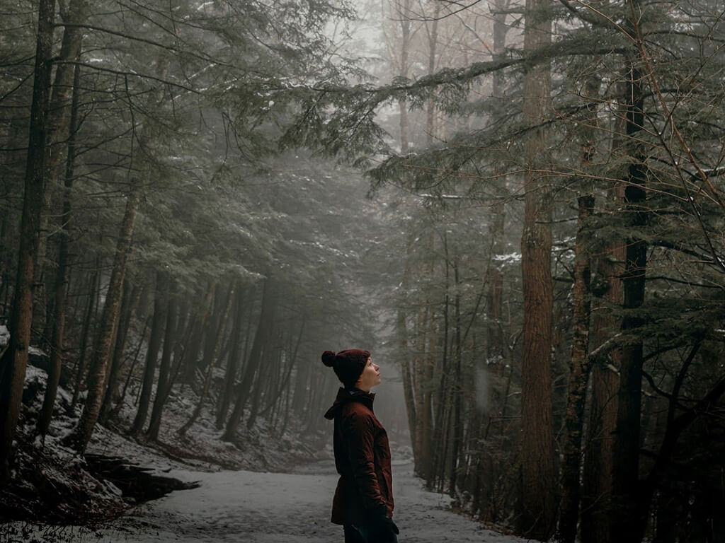 Hiker on a trail in Catskill Mountains during winter