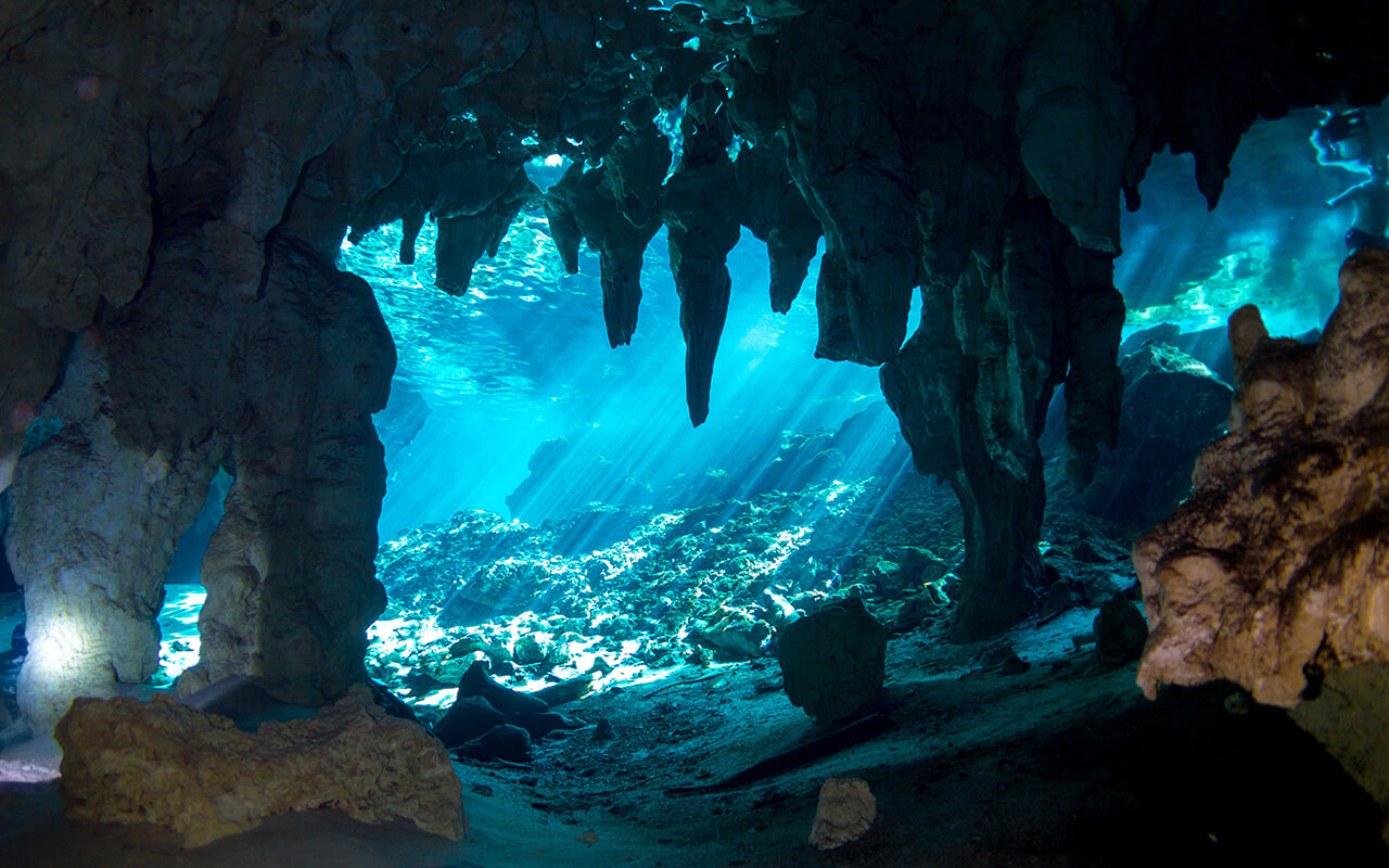 Underwater Gran Cenote Yucatan Mexico