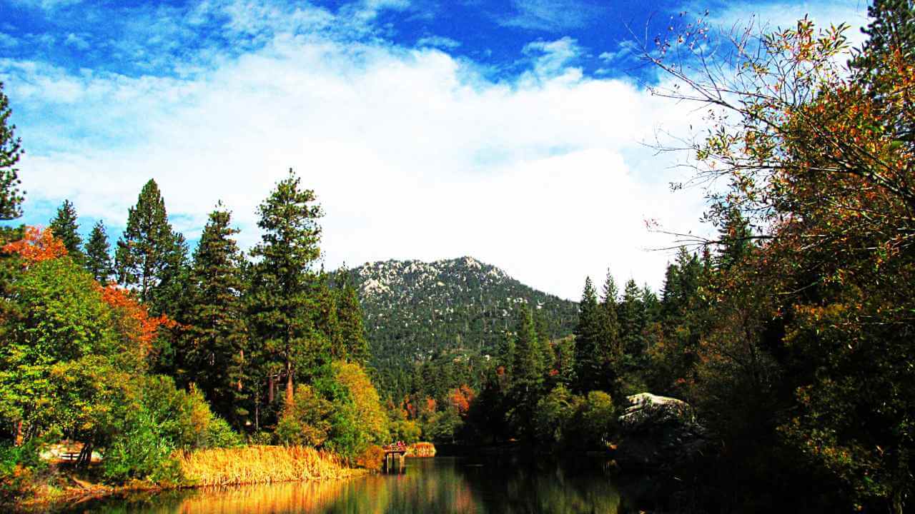 a river in the middle of a forest with mountains in the background