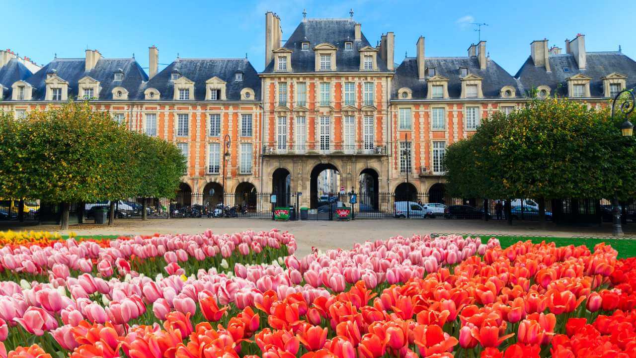 tulips in front of an old building in france