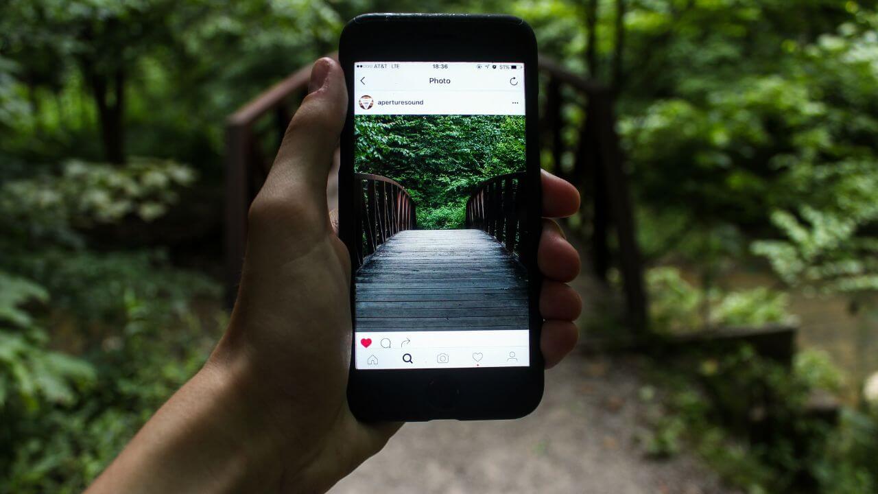 a hand holding an iphone is taking a picture of a bridge in the woods