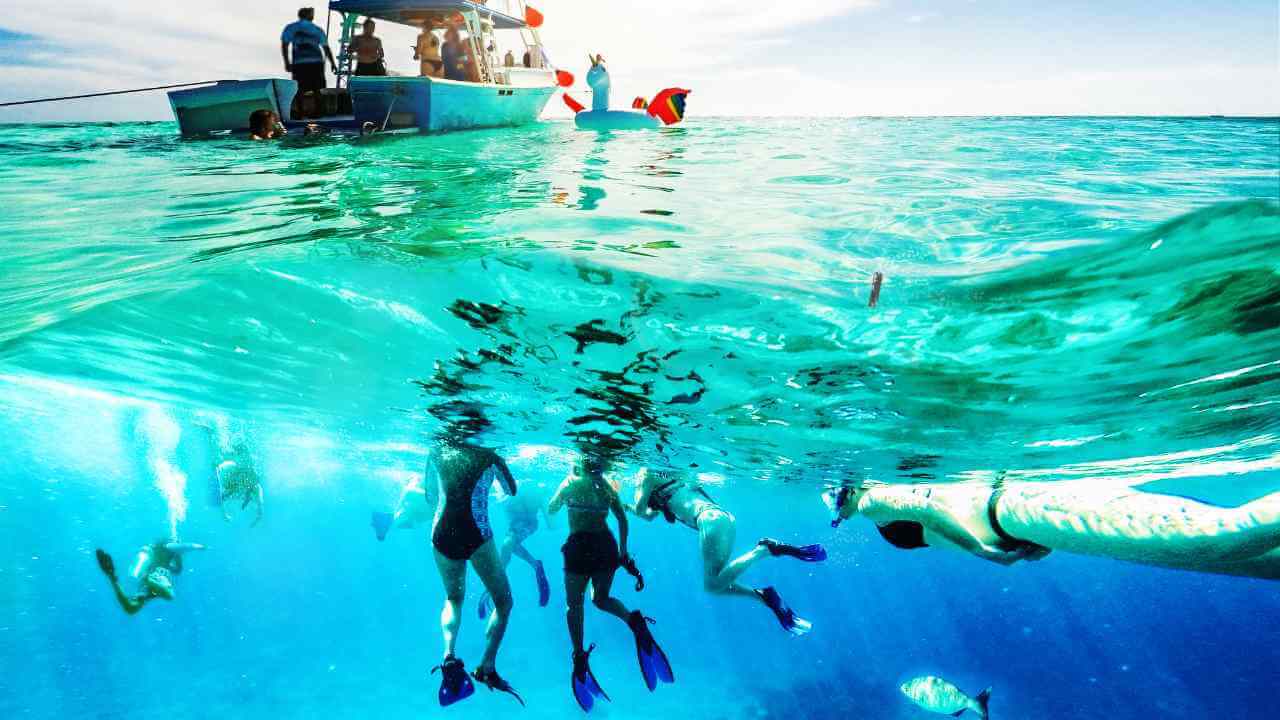 a group of people snorkeling in the ocean