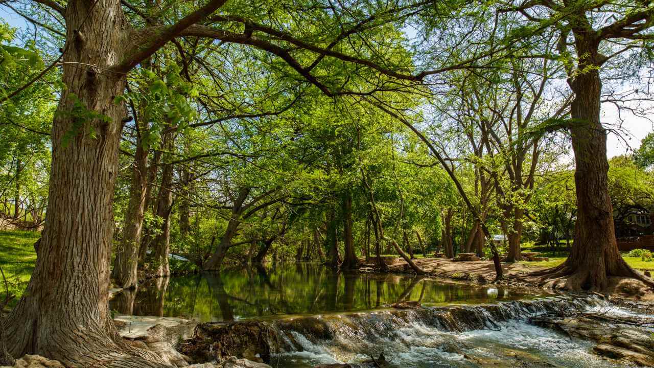 a creek running through a wooded area with trees and rocks