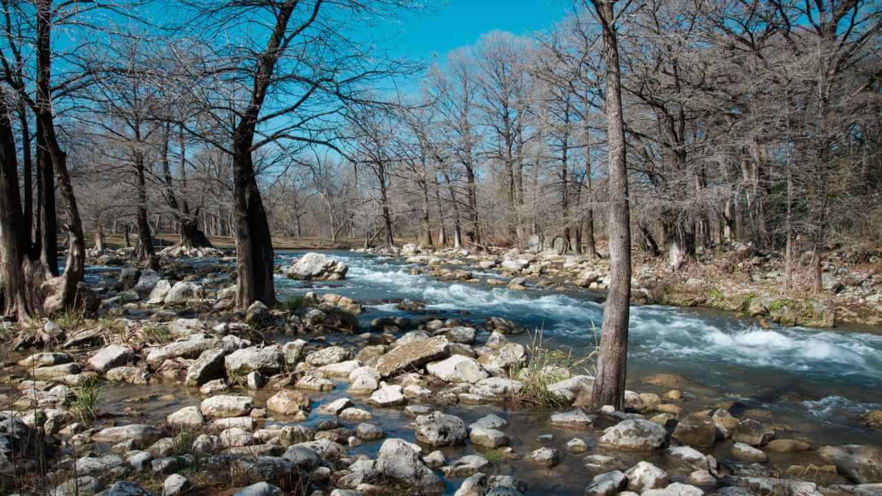 a river running through a wooded area with rocks and trees