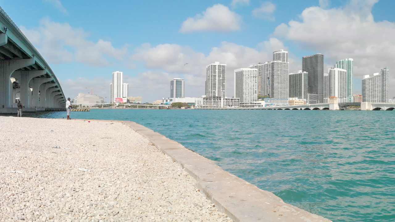 a view of the city skyline from the shoreline