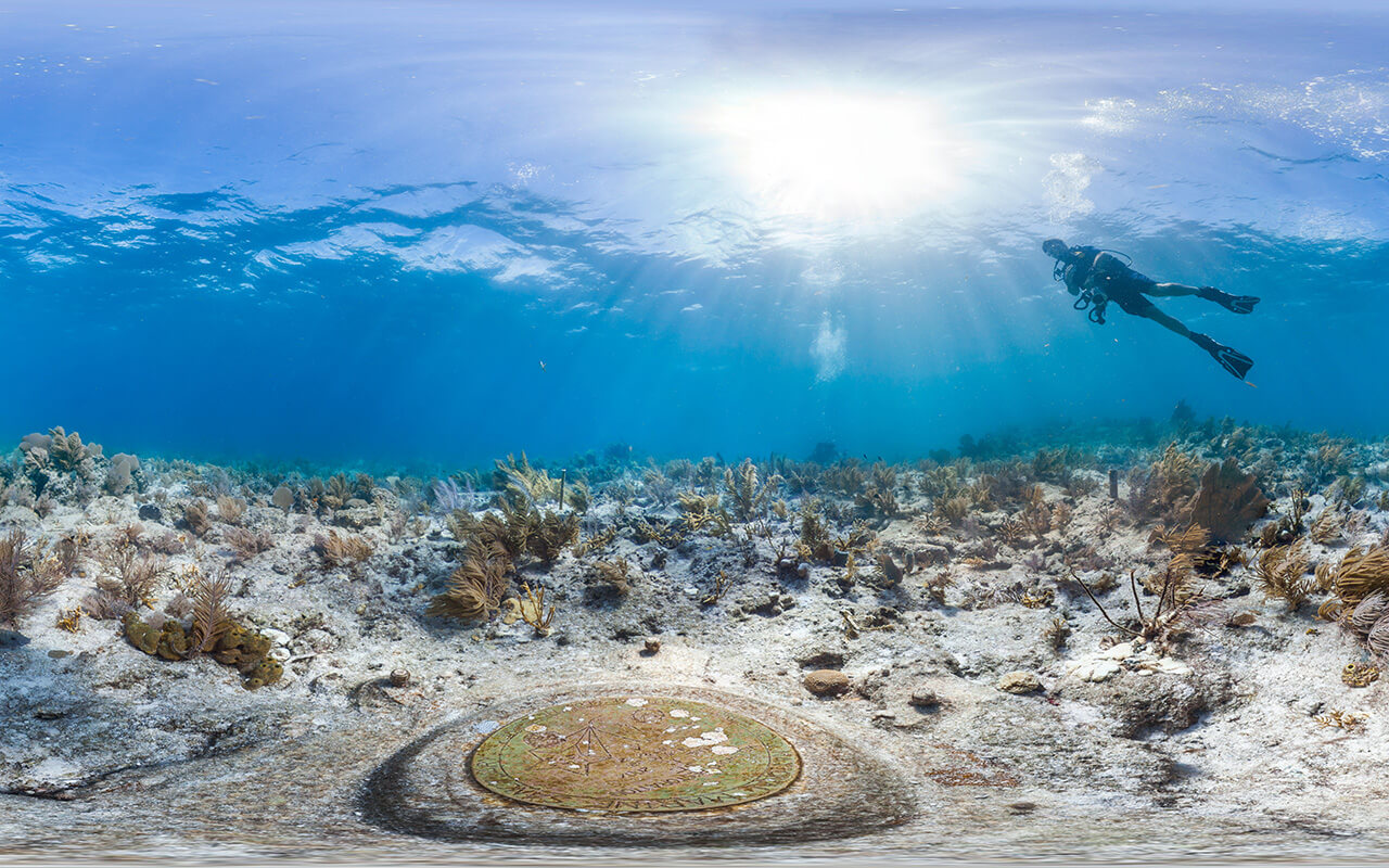 Diver in molasses reef, Florida