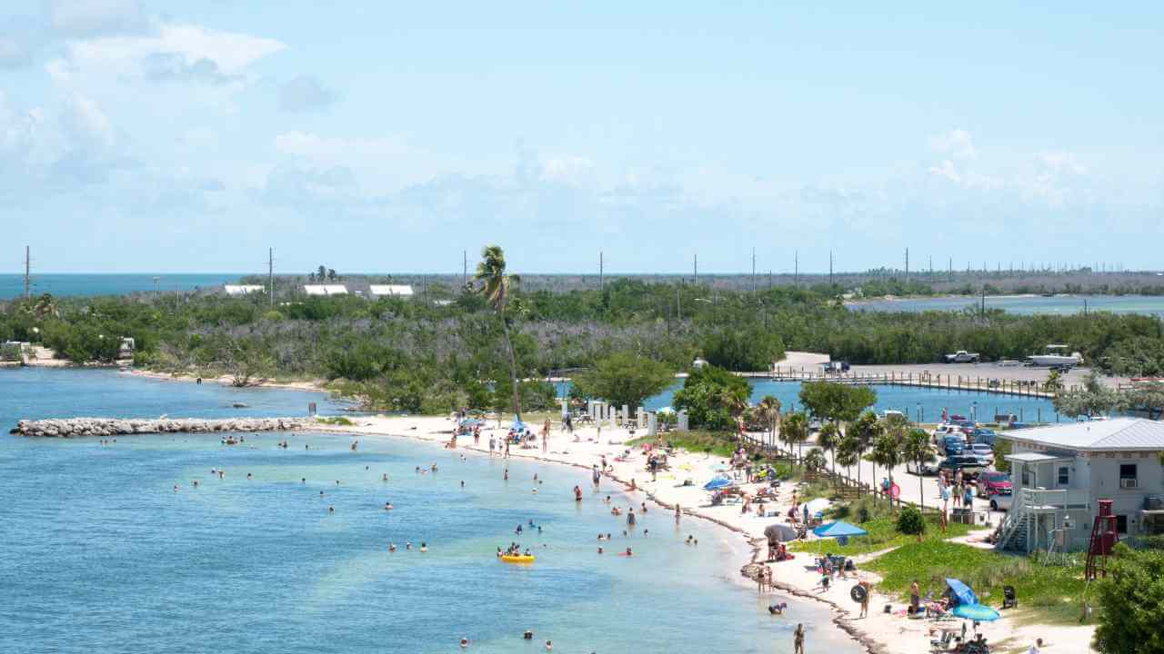 an aerial view of a beach with people swimming and sunbathing