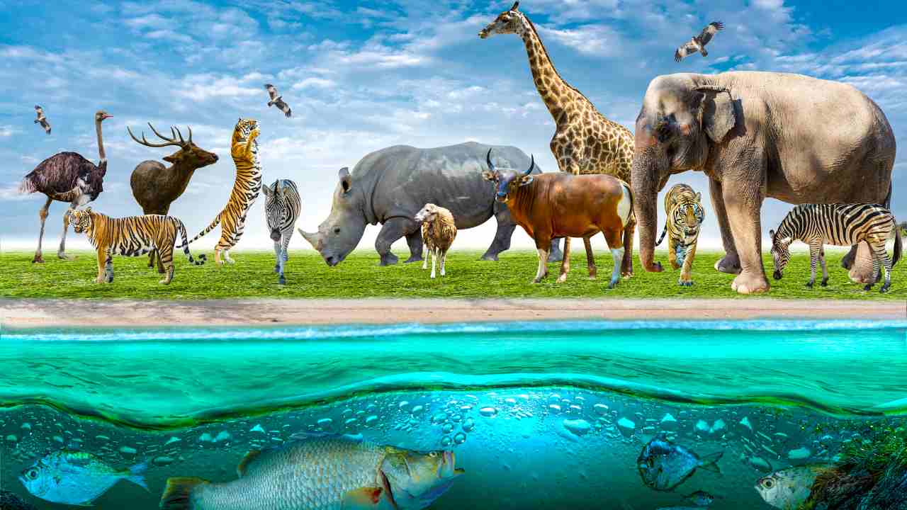 a group of animals and fish in the water