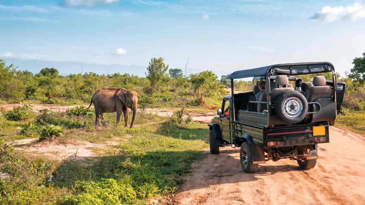 safari in sri lanka