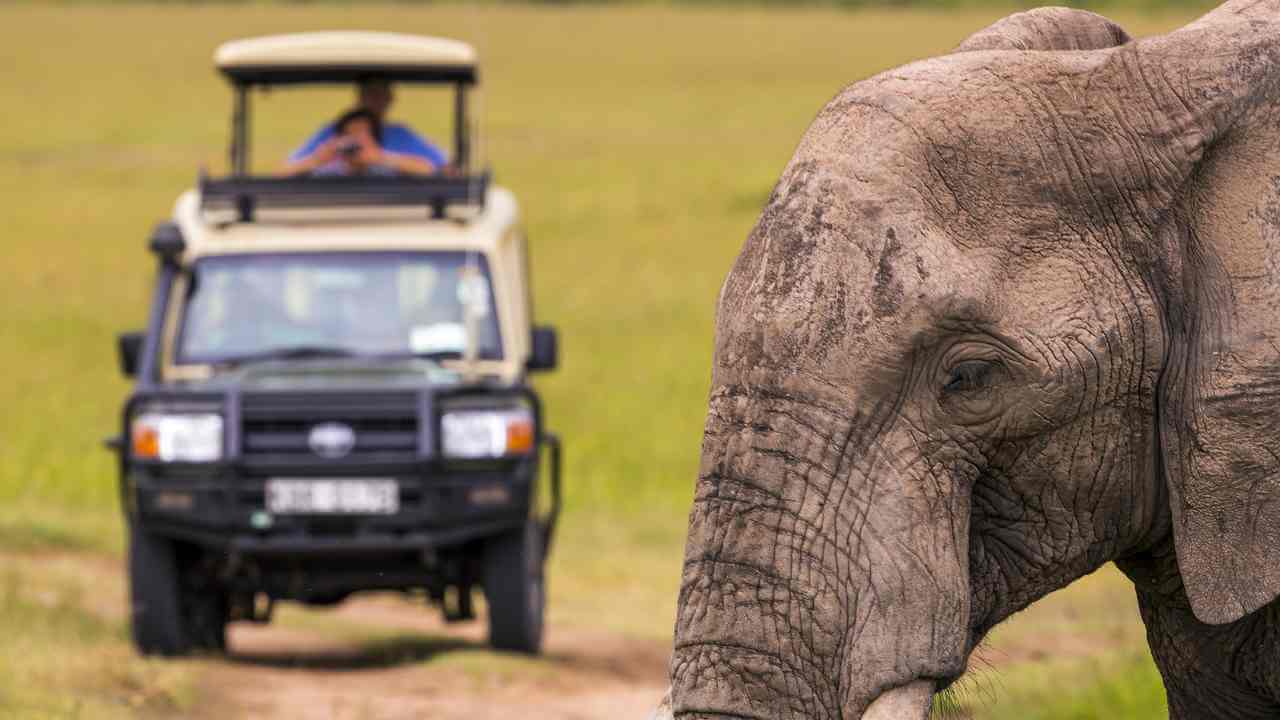 an elephant is walking in front of a jeep