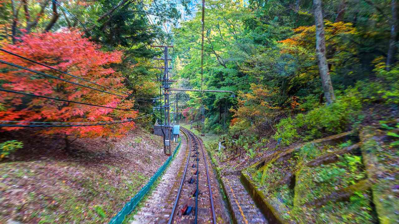 an image of a train going down a track in the woods