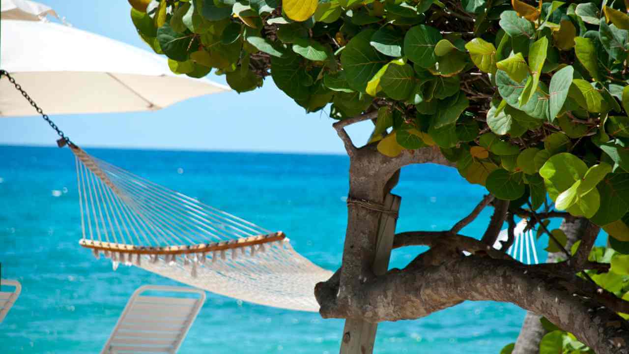 hammock on the beach with beach chairs and umbrellas