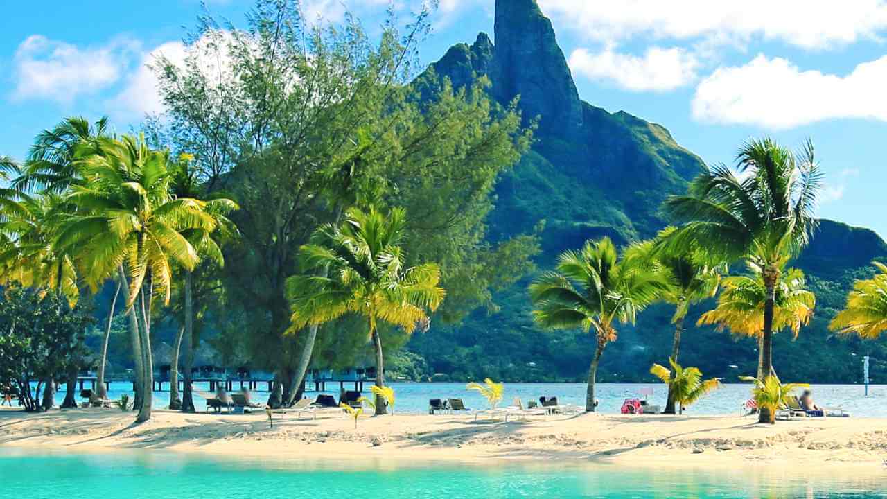 a tropical beach with palm trees and a mountain in the background