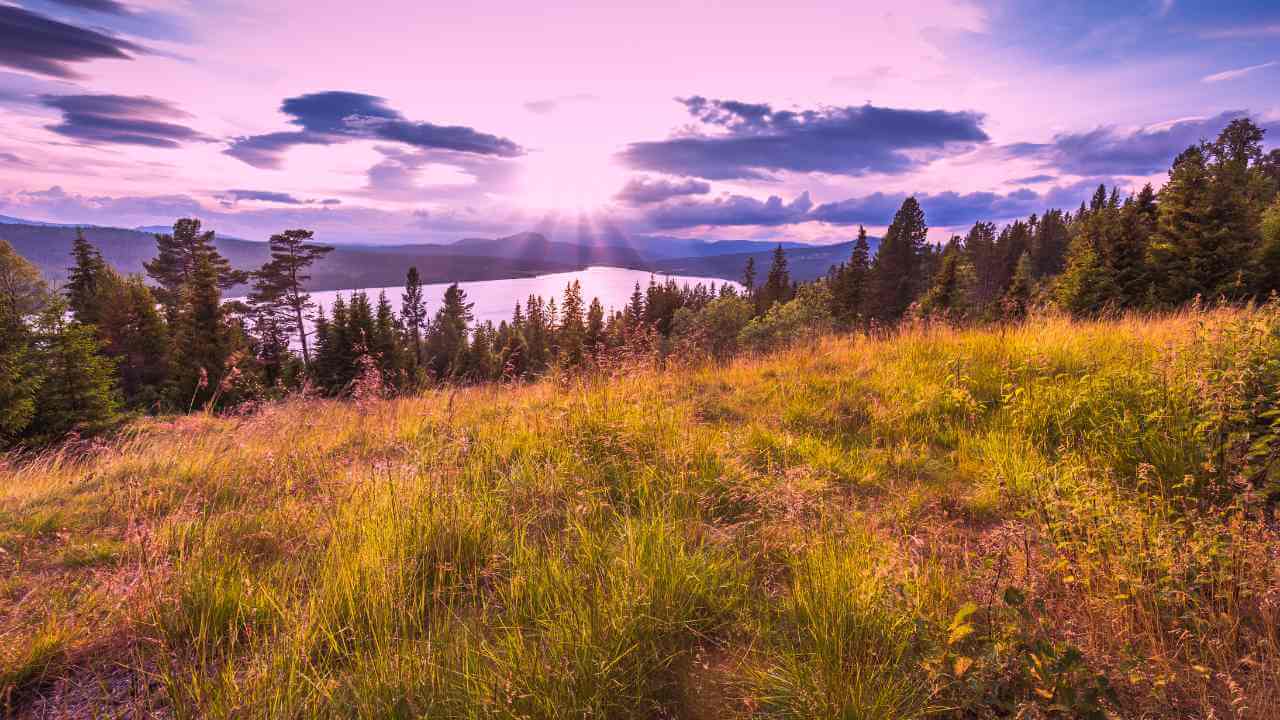 the sun is setting over a grassy hill with a lake in the background