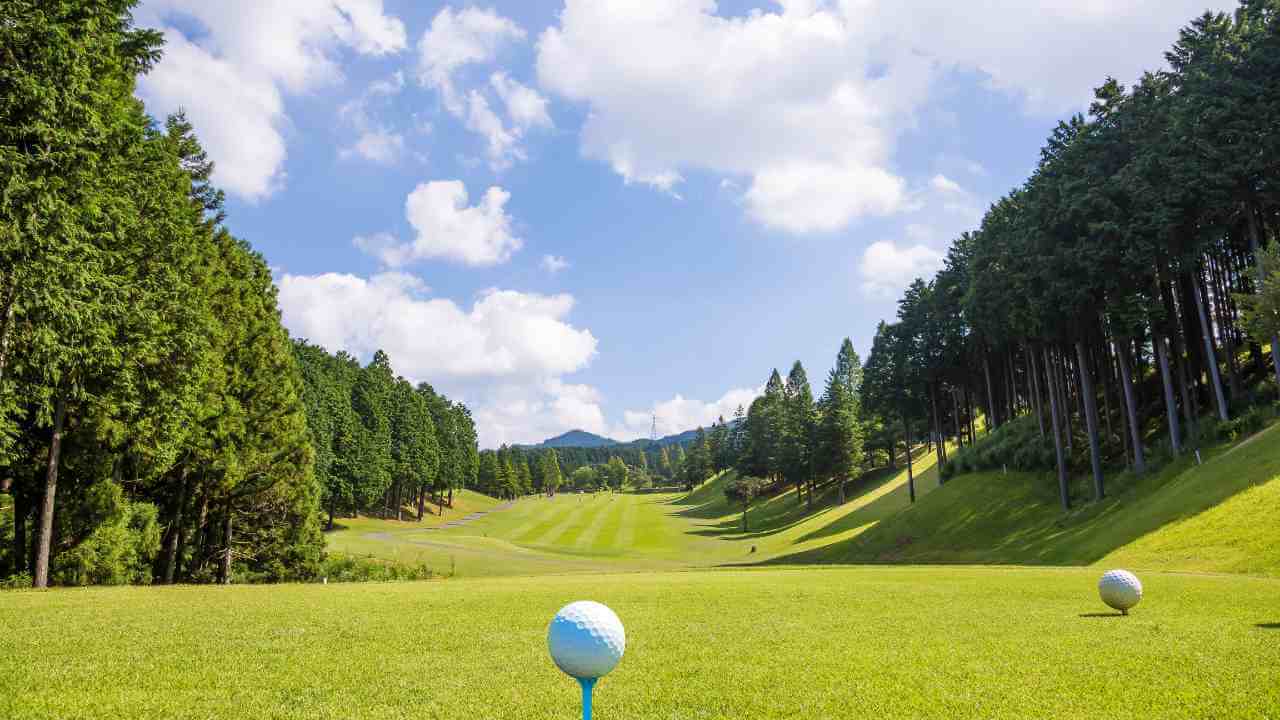 a golf ball on a green field with pine trees in the background