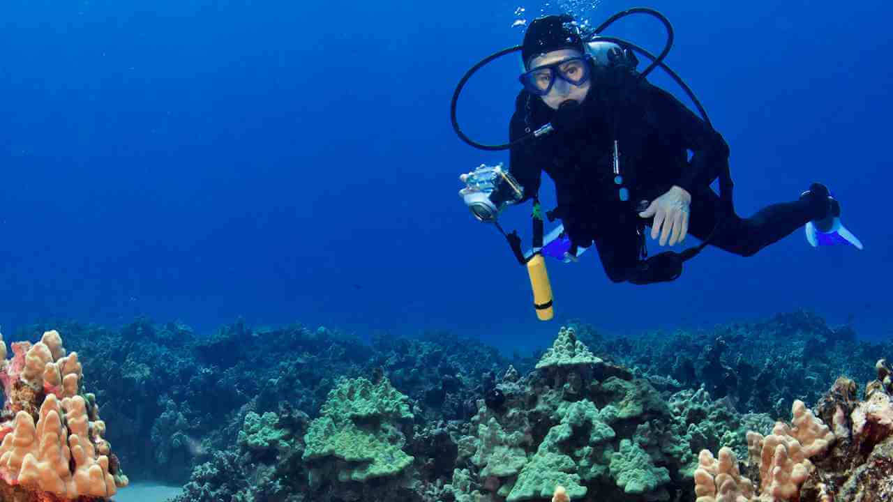 a person scuba diving over a coral reef