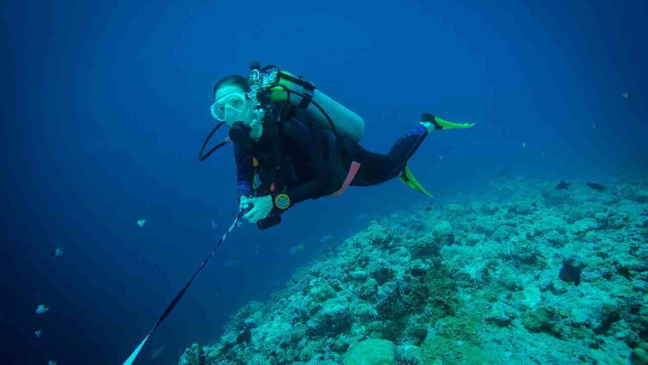 a person scuba diving in the ocean