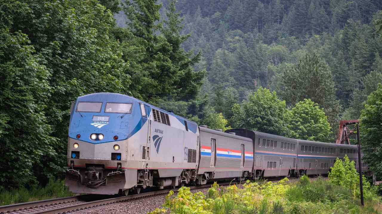 an Amtrak train traveling down the tracks in the woods