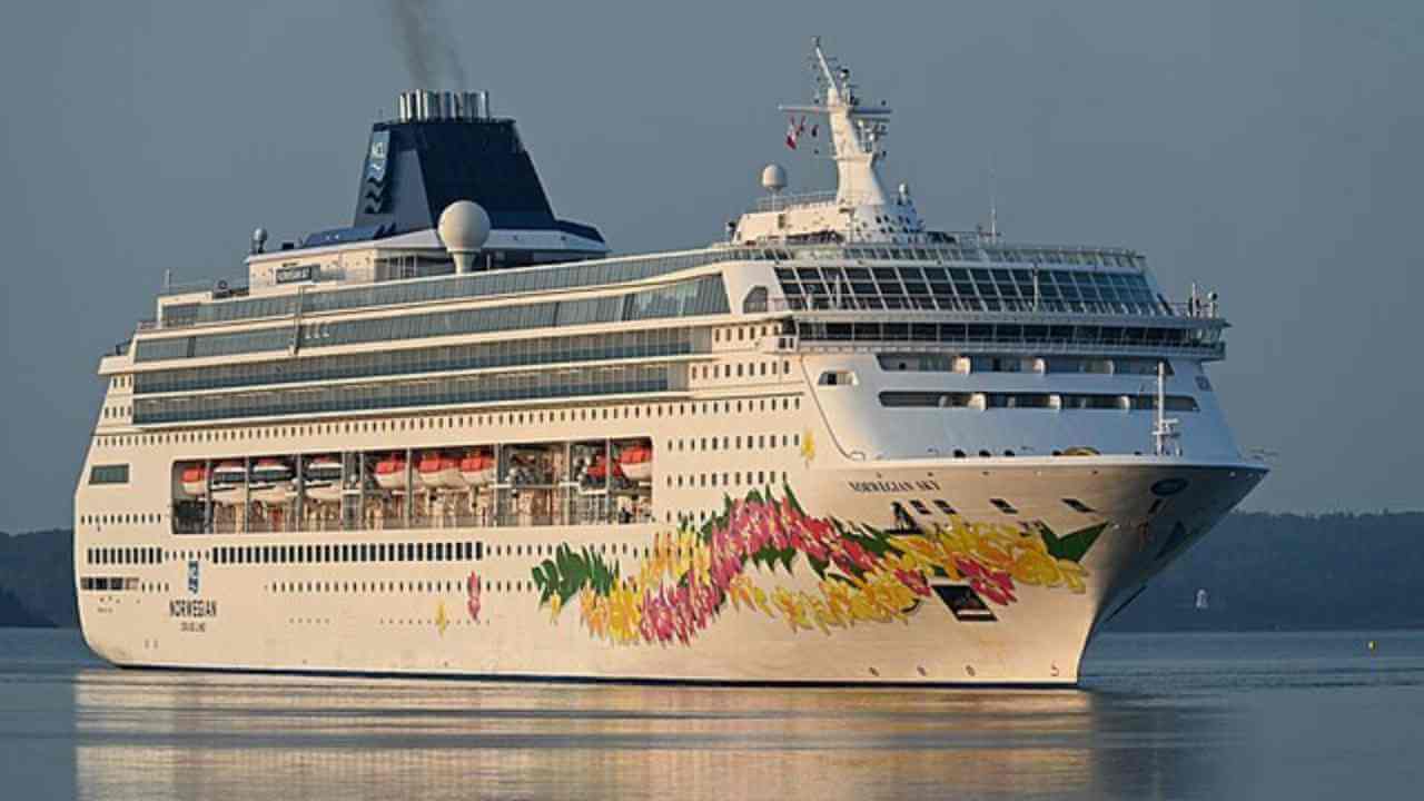 a large cruise ship with colorful flowers on it