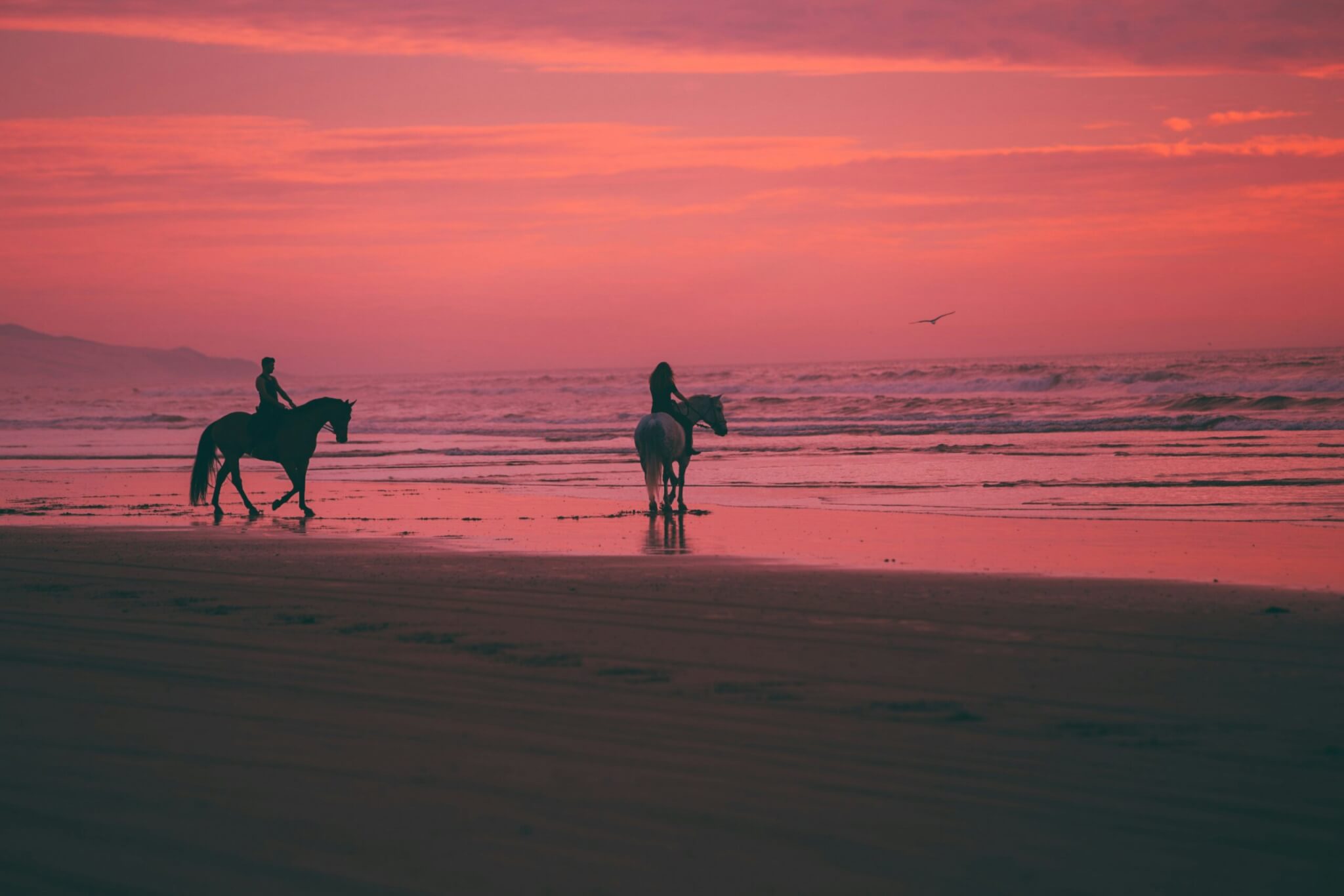 couple horseback riding on the beach