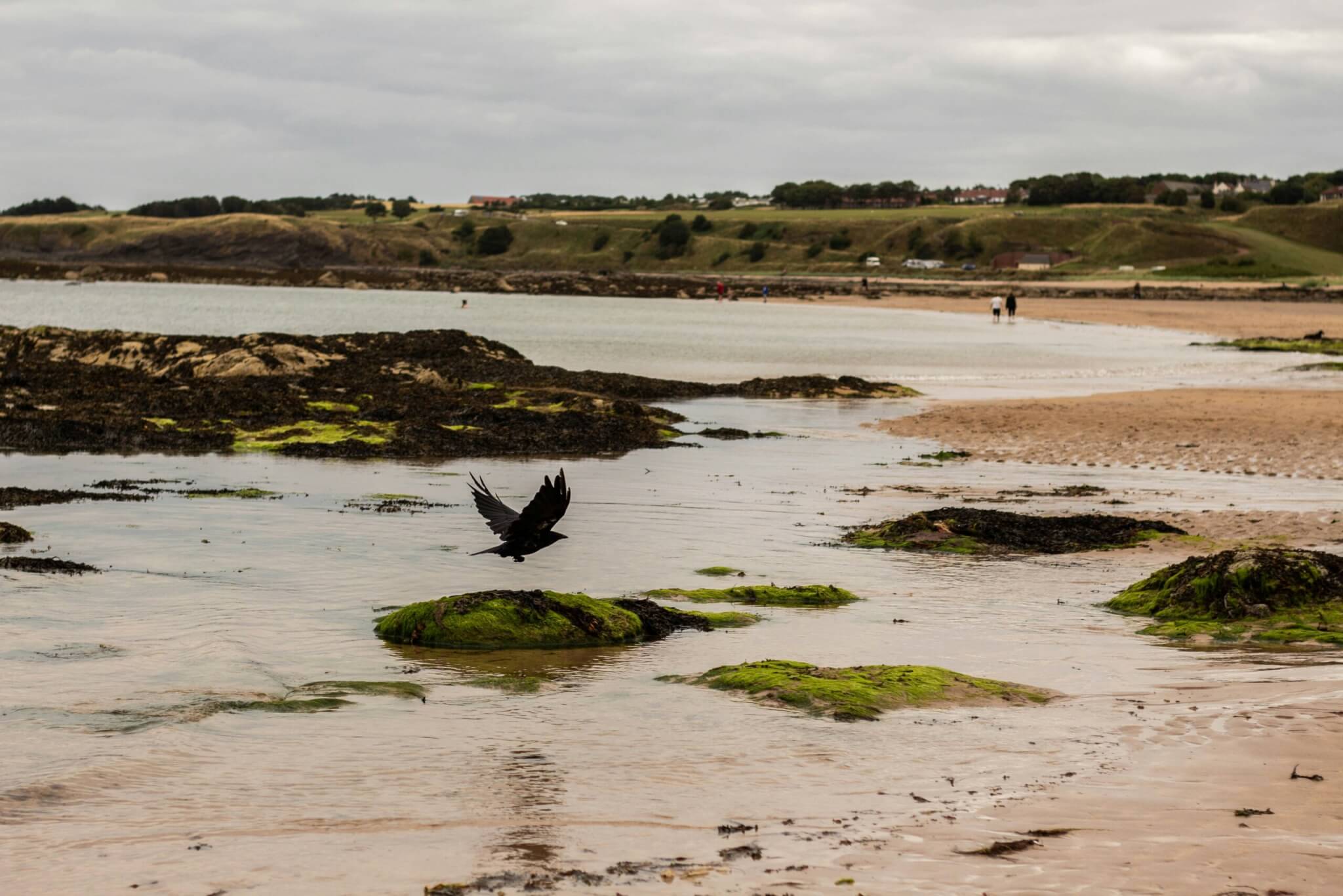 north berwick, scotland