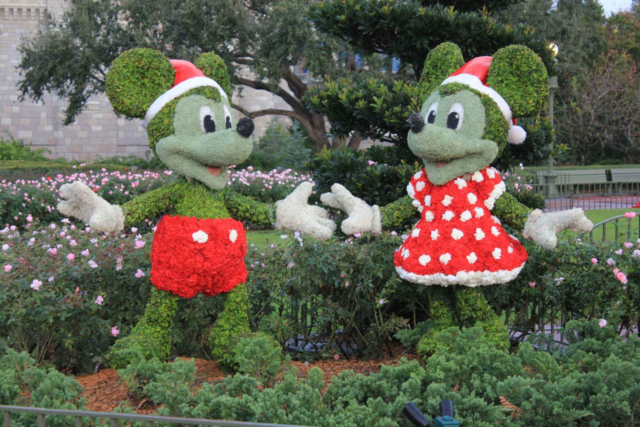 mickey and minnie mouse bushes