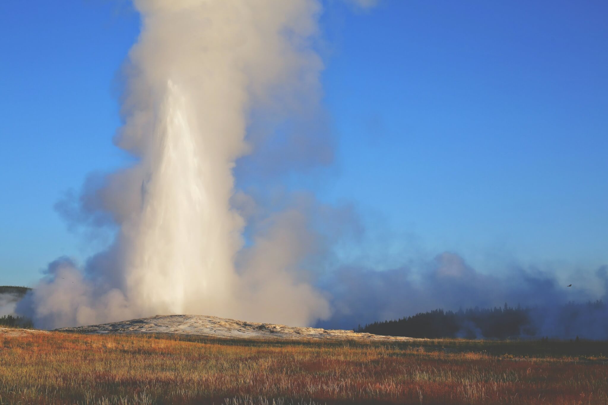 old faithful