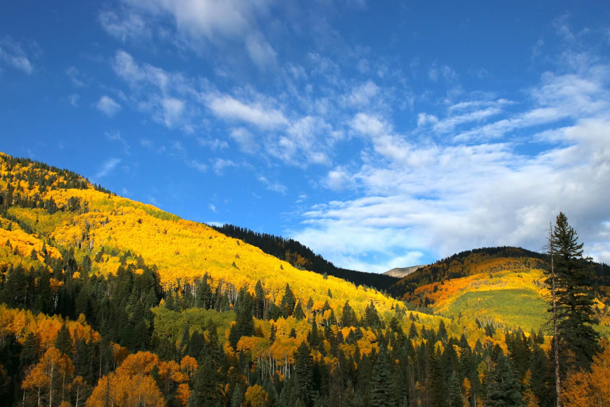 silverton, colorado