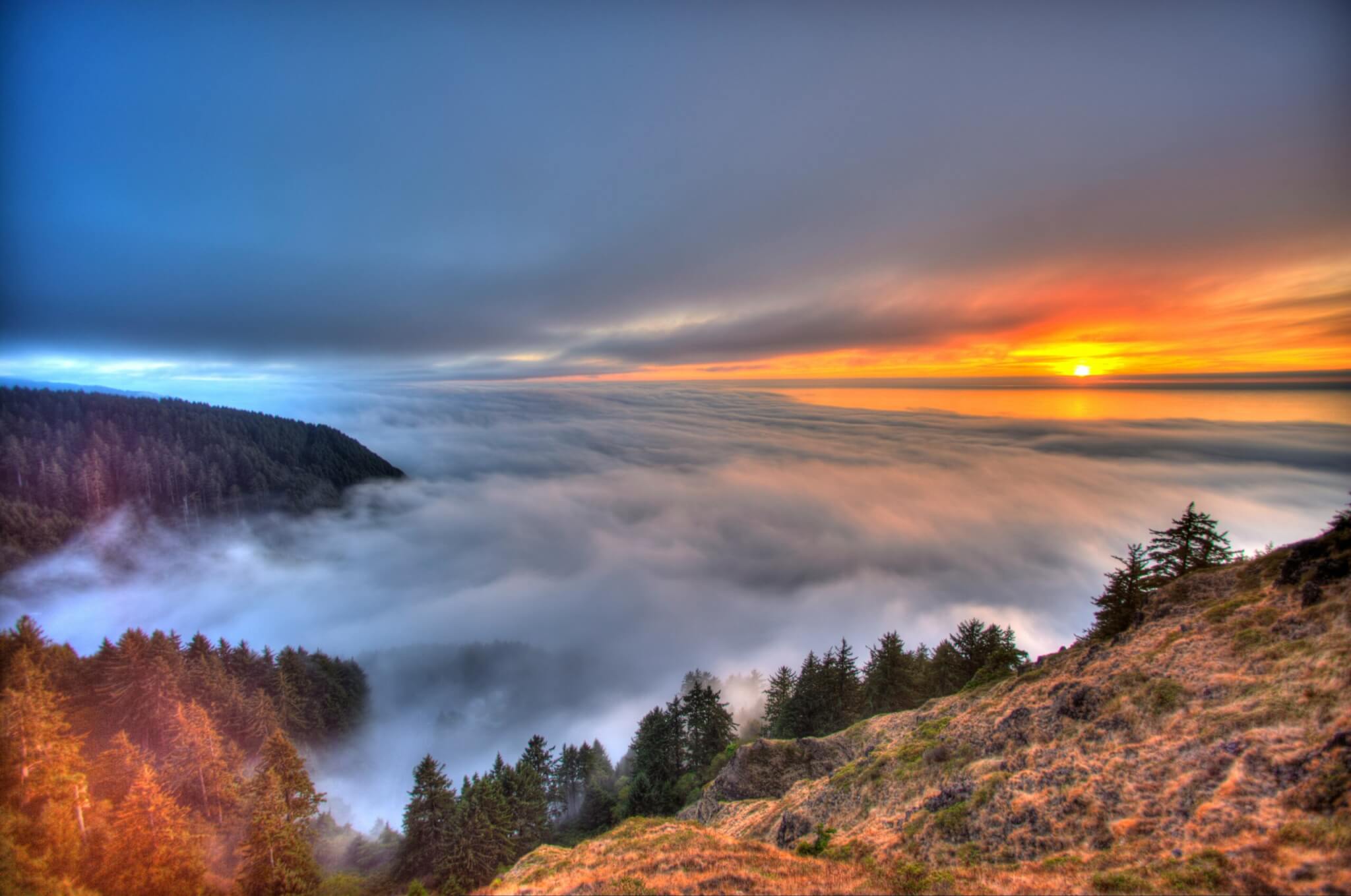 cape perpetua scenic area