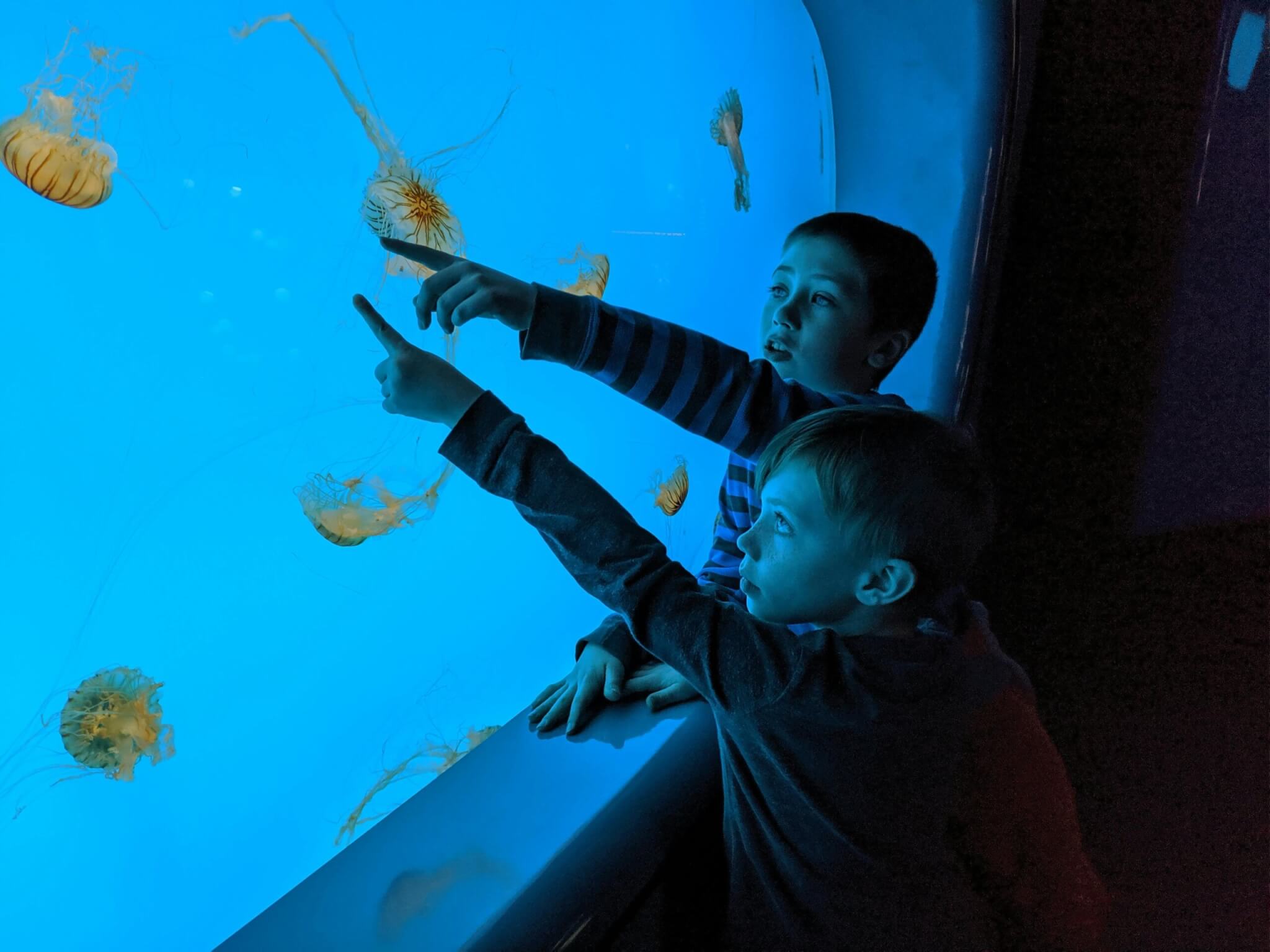 kids at an aquarium