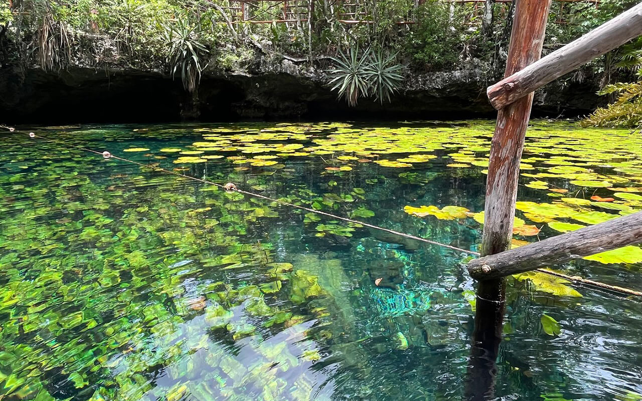 Nicte-Ha Cenote