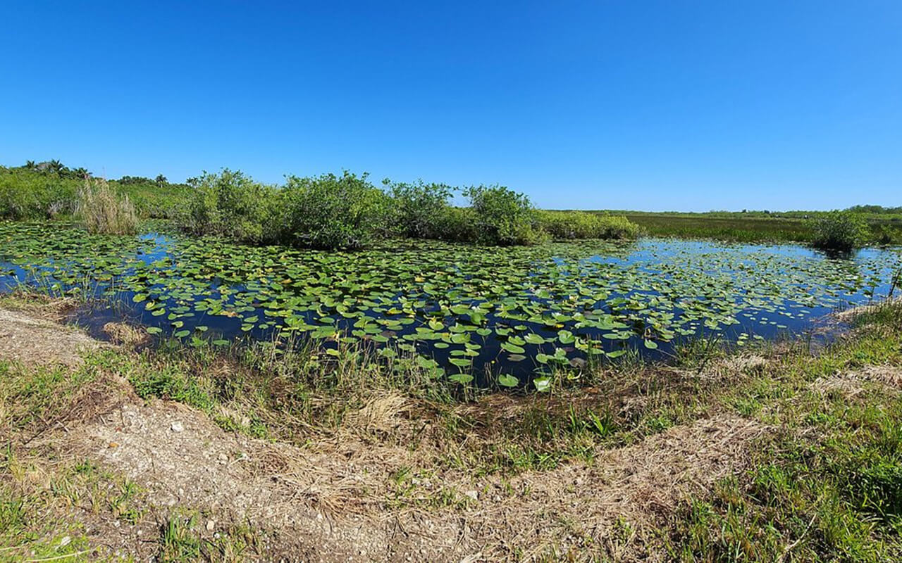 Everglades National Park, Miami