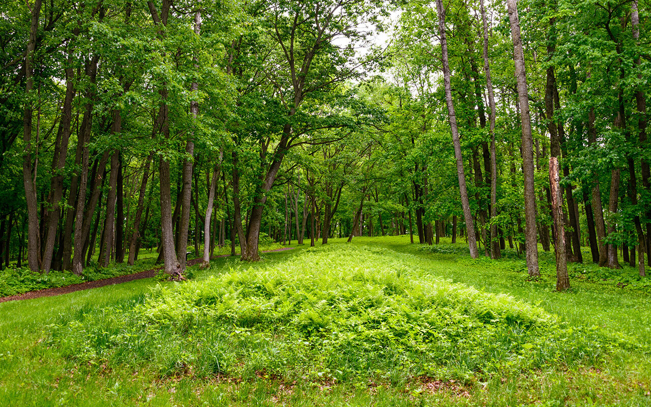 Effigy Mounds National Monument