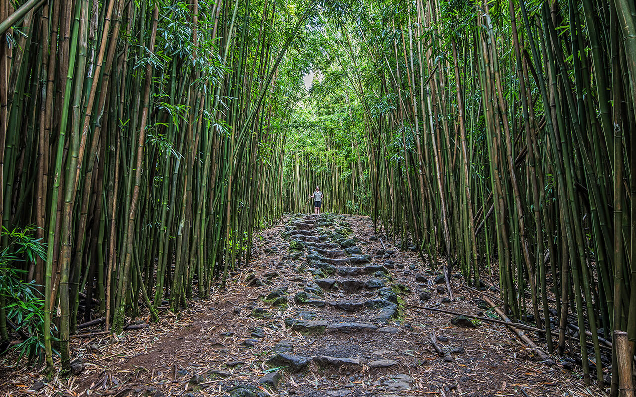 Haleakala National Park