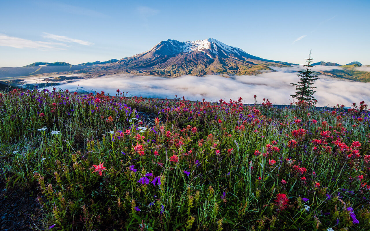 Mount St. Helens