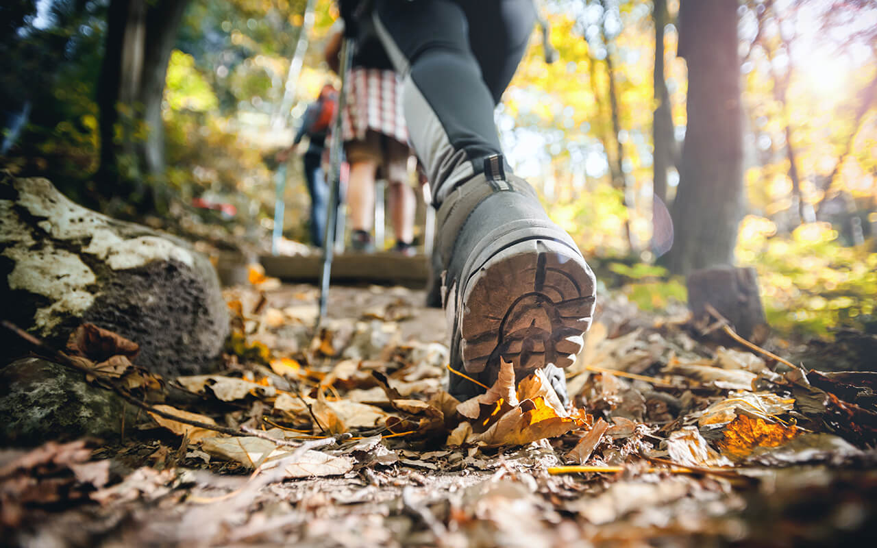 Person in hiking shoes walking on a nature path