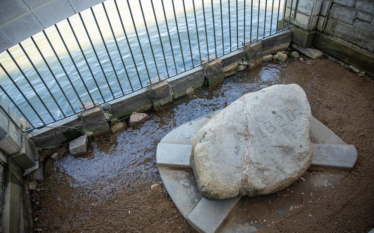 Plymouth Rock