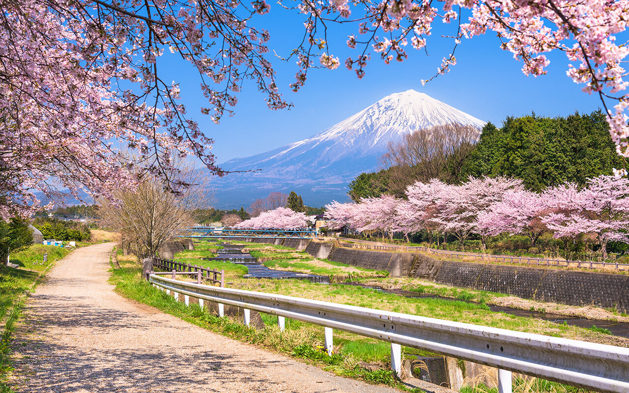 Mt. Fuji viewed from rural Shizuoka Prefecture in spring season