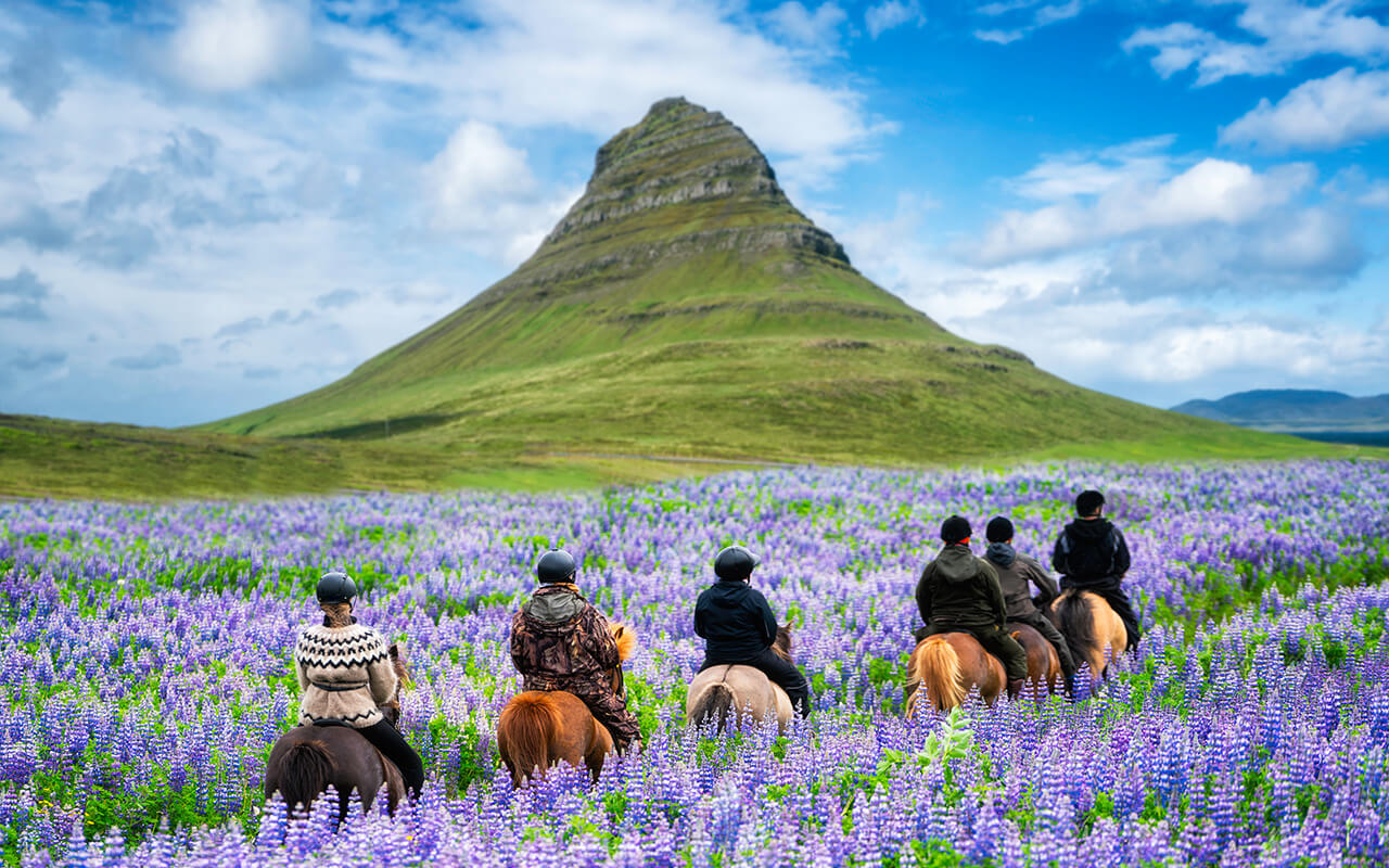 Tourist ride horse at Kirkjufell mountain landscape and waterfall in Iceland summer.