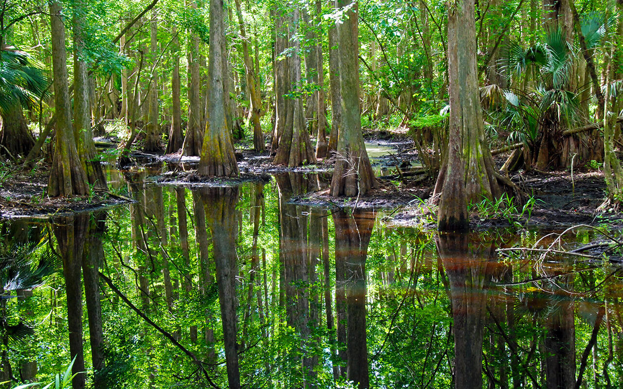 Everglades National Park