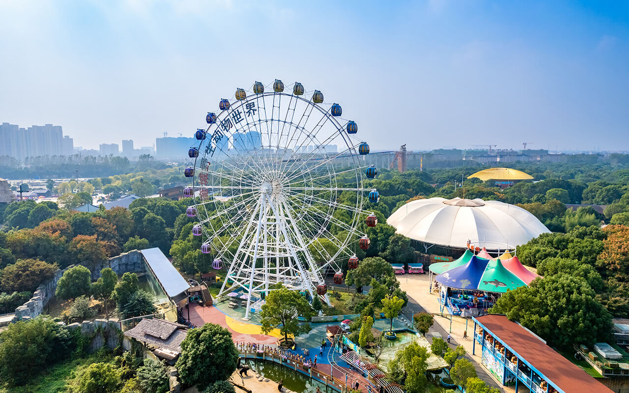 Amusement park with a Ferris wheel