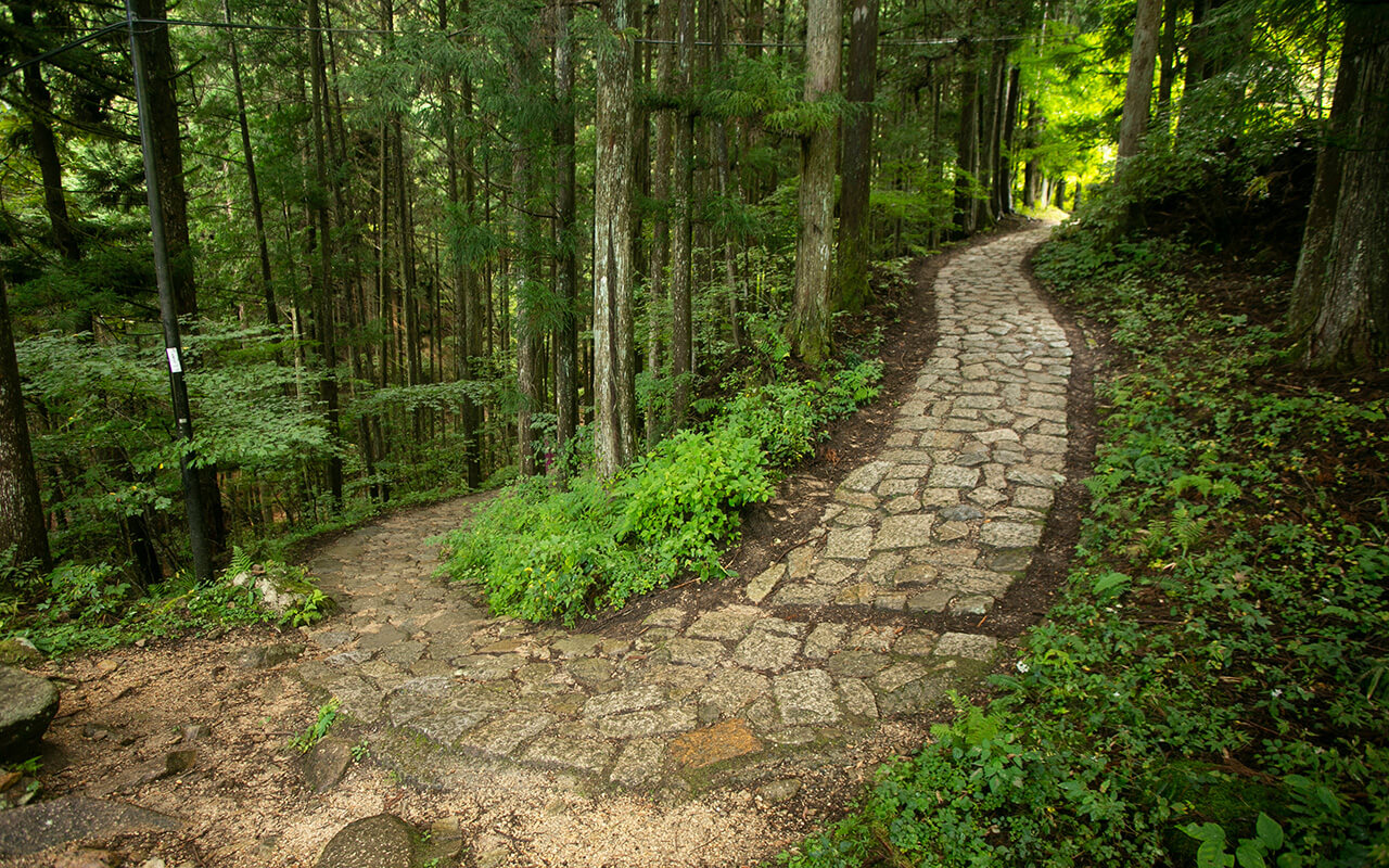 The Nakasendo Trail