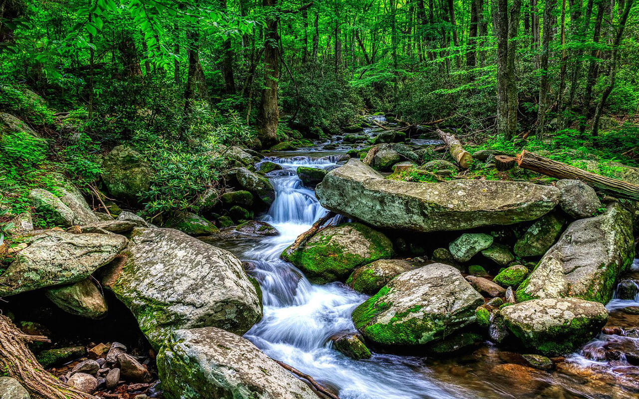 Roaring Fork Motor Trail