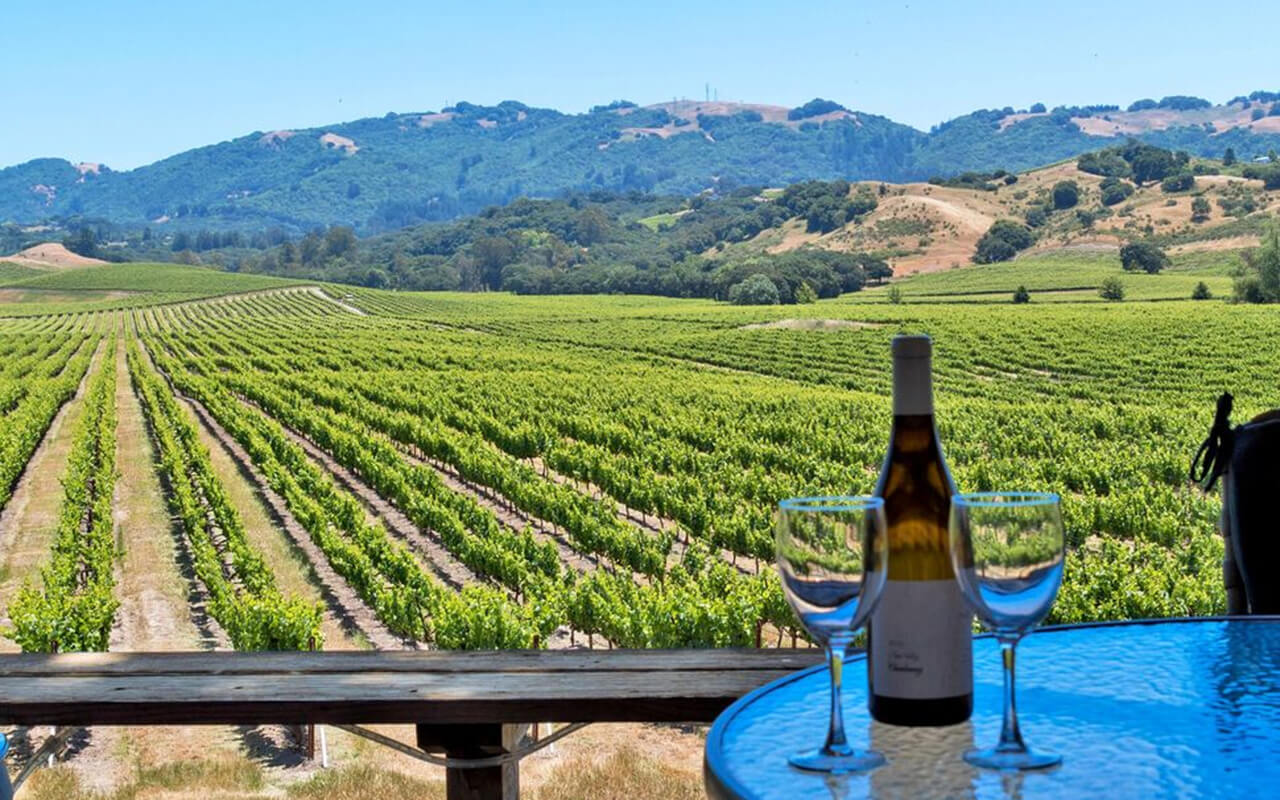 Sonoma Valley All-Inclusive Wine Tour