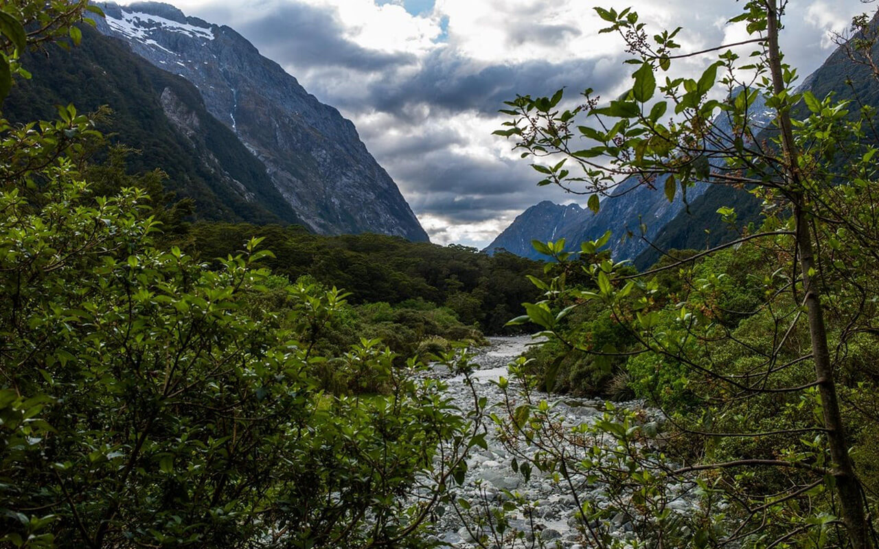 Milford Track, New Zealand