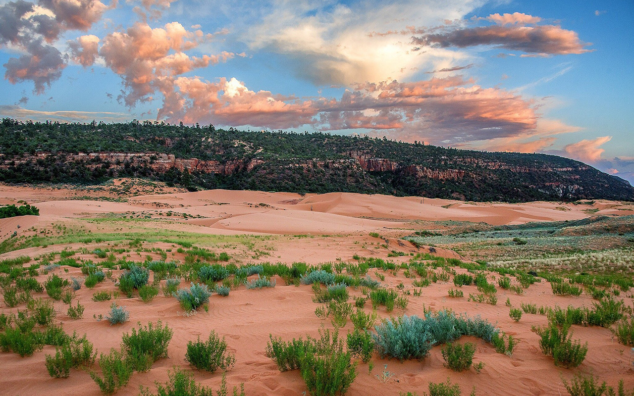 Coral Pink Sand Dunes State Park